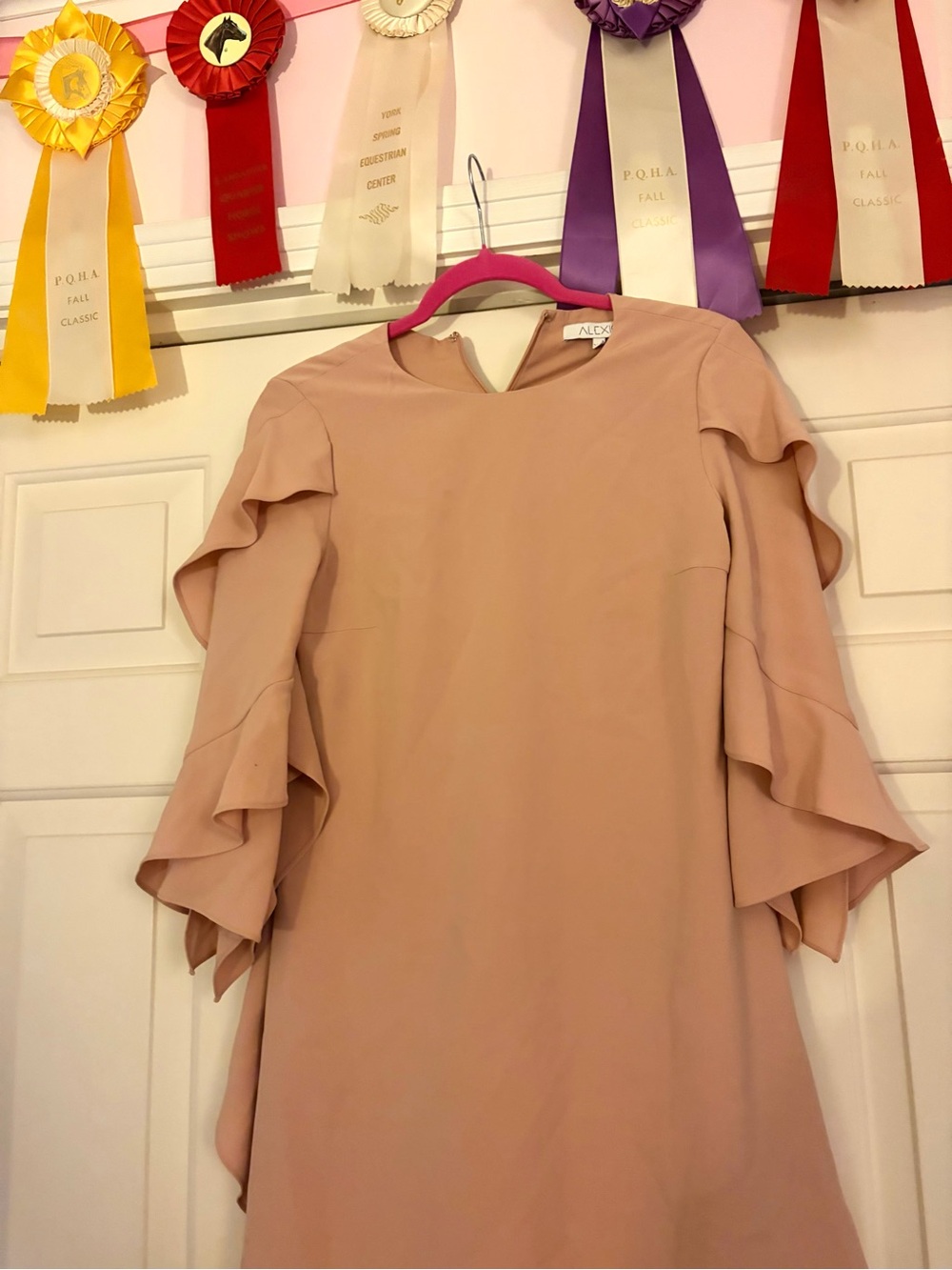 Alexis Blush Pink Ruffle Sleeve Long-Sleeve Dress